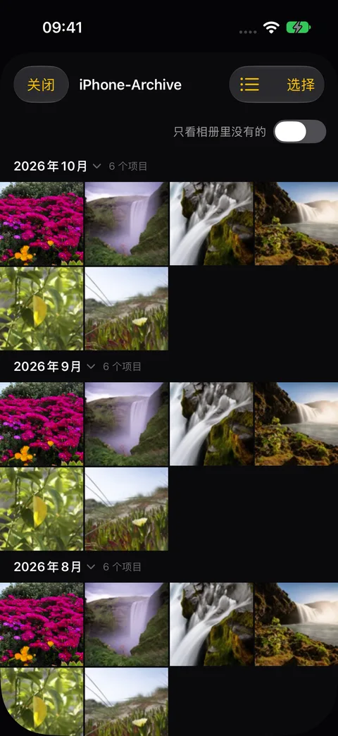 按月份查看 AmberTime 备份。