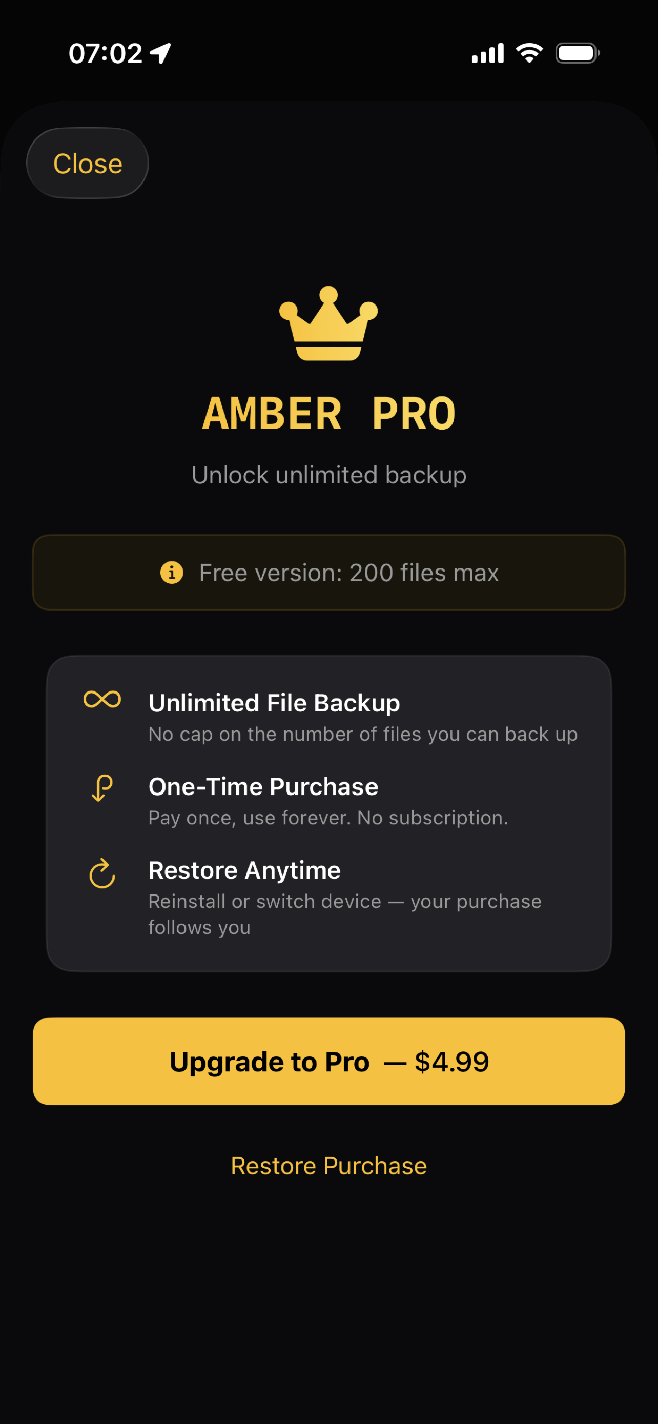 Amber Pro upgrade sheet — one-time $4.99 purchase
